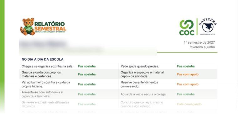 Modelo do relatório semestral entregue à família
